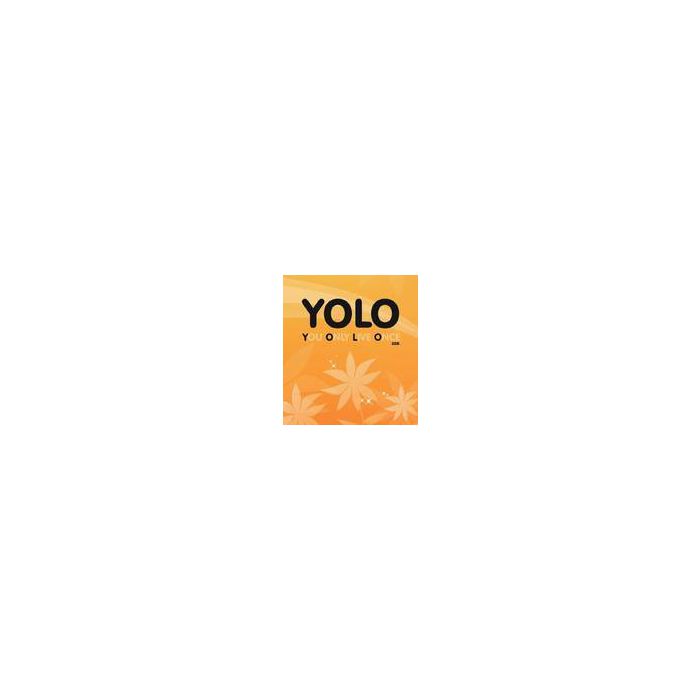 YOLO 3g